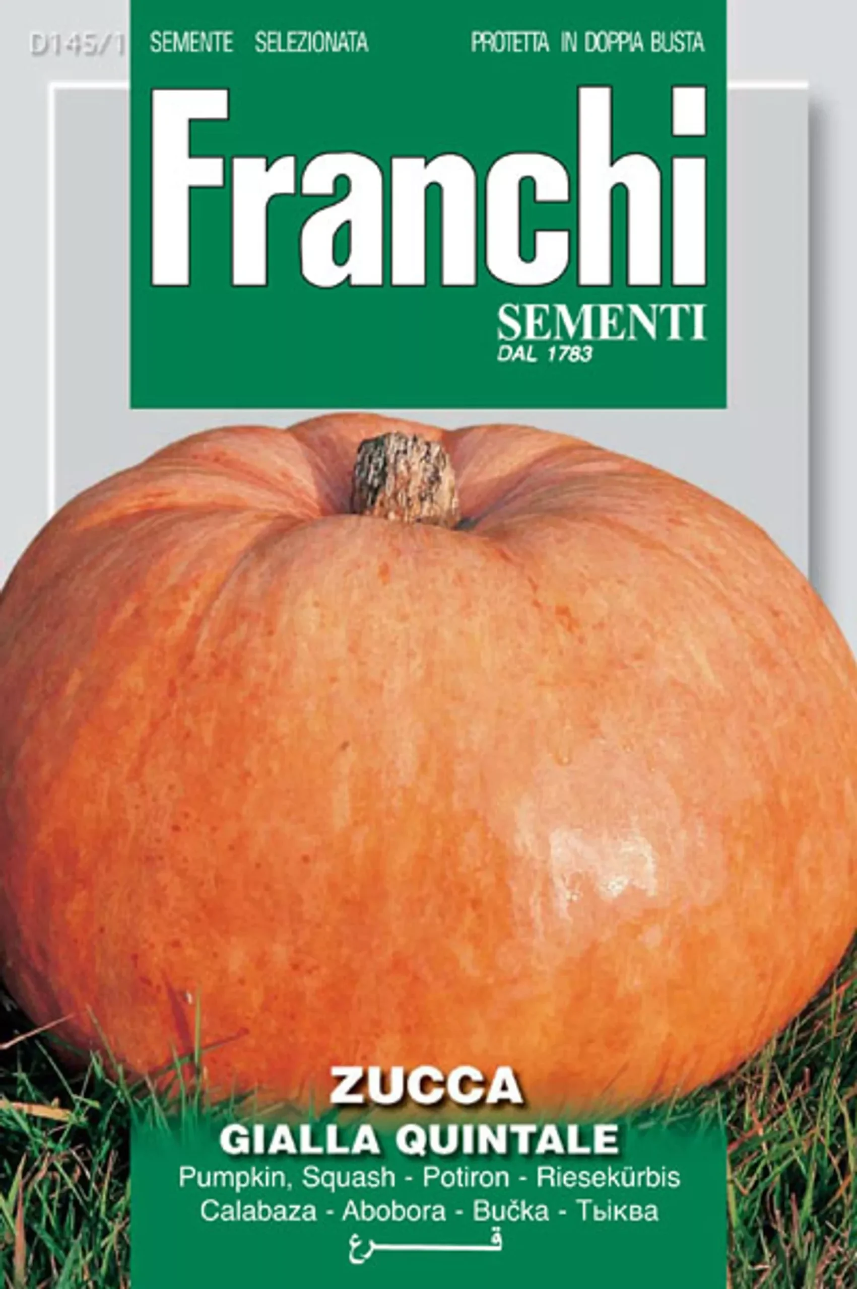 Zucca Gialla Quintale