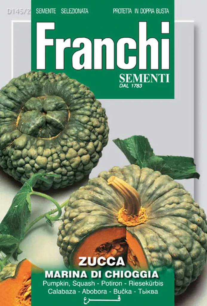 Zucca Marina Dichioggia