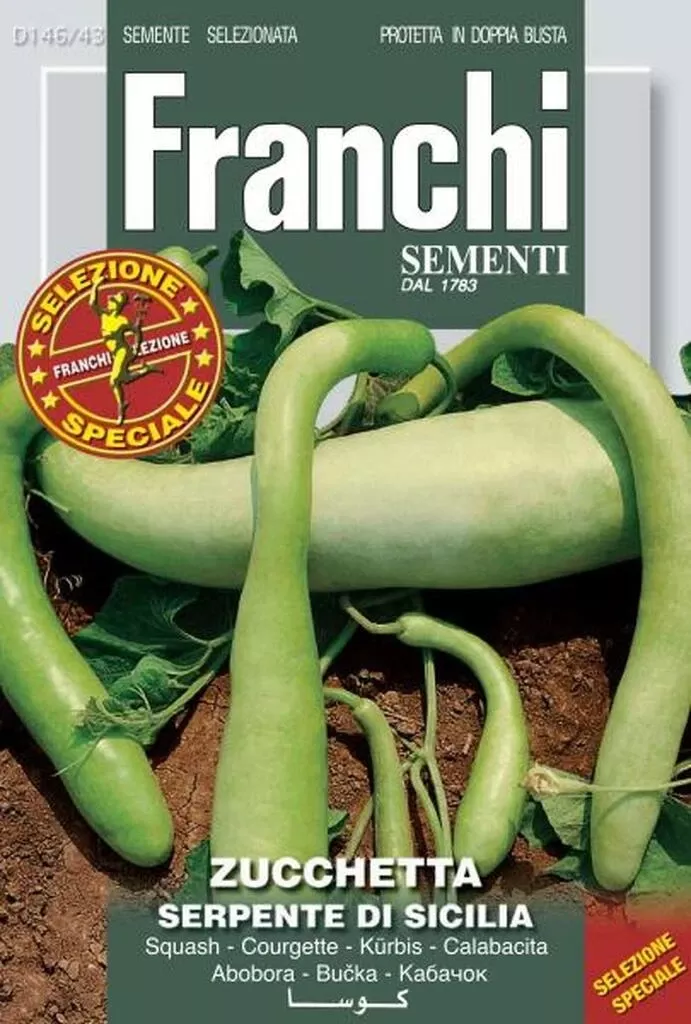 Zucchetta Serpente Sicili