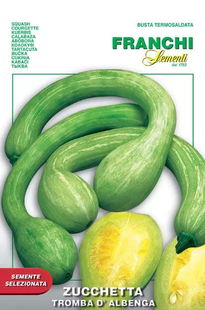 Zucchetta Tromba D’alberg