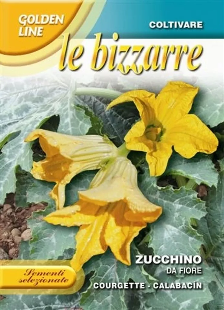 Zucchino Dafiore Pasquale