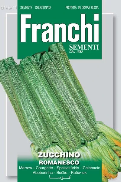 Zucchino Romanesco