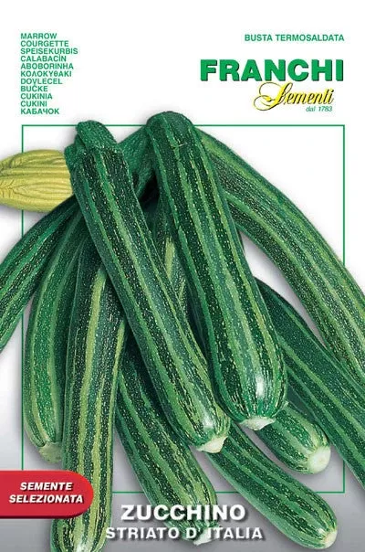 Zucchino Striato D’italia