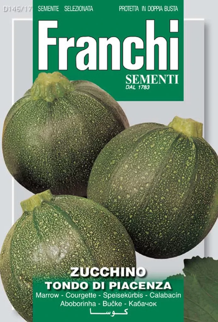 Zucchino Tondo Piacenza